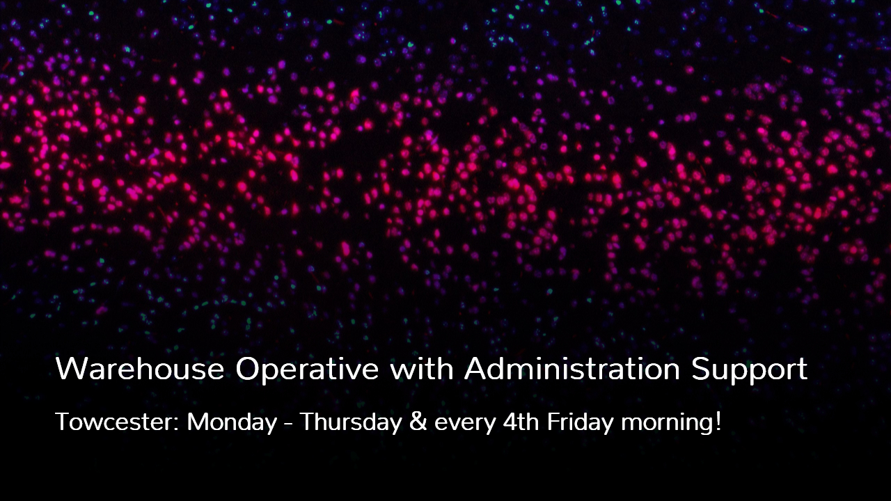Warehouse Operative with Administration Support Job in Towcester