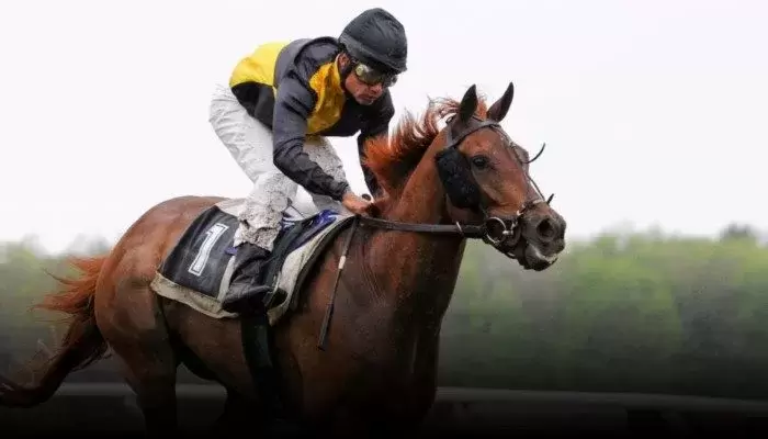 We recruit for jobs in Towcester Northamptonshire|we recruit for jobs in towcester