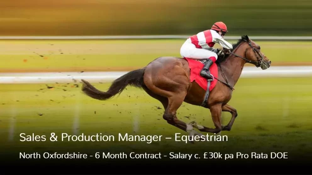 Sales and Production Manager Job in Equestrian Fixed Term Contract Vacancy in Bicester
