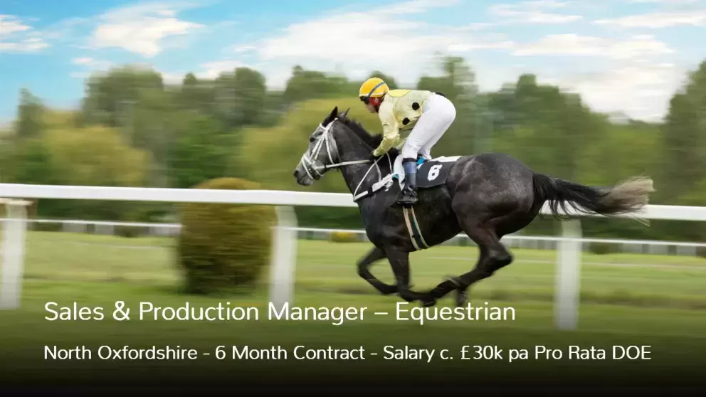 Sales and Production Manager Job in Equestrian Fixed Term Contract Vacancy in Bicester