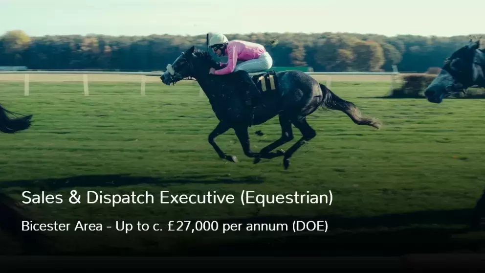 Sales and Dispatch Executive (Equestrian) Job Near Bicester